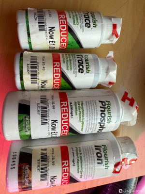 Фото Подводный Романтик. Мой аквариум Fluval Roma 120 литров Zlatka  (photo#156856)