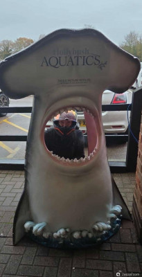 Фото Подводный Романтик. Мой аквариум Fluval Roma 120 литров Zlatka  (photo#156857)