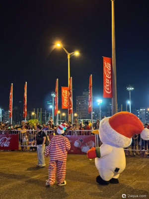 Фото Coca-Cola – праздник к нам приходит, парагвайская версия (photo#156877)
