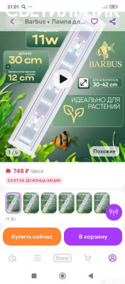 Фото Второй в жизни аквариум 30 литров Ленчик  (photo#156899)