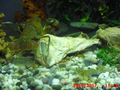 Фото Маленький кусочек моря (photo#156920)