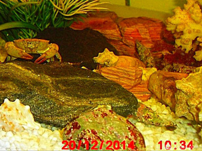 Фото Маленький кусочек моря (photo#156922)