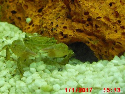 Фото Маленький кусочек моря (photo#156925)