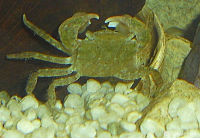 Фото Маленький кусочек моря (photo#156927)