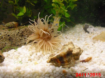 Фото Маленький кусочек моря (photo#156929)