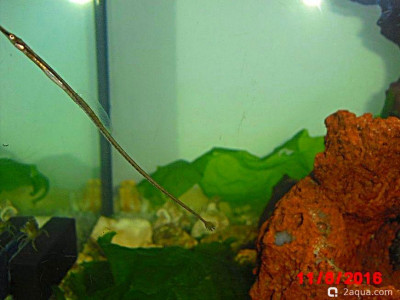 Фото Маленький кусочек моря (photo#156931)