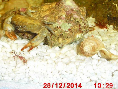 Фото Маленький кусочек моря (photo#156933)