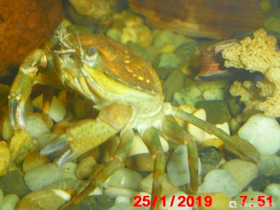 Фото Маленький кусочек моря (photo#156934)