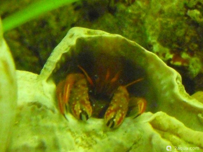 Фото Маленький кусочек моря (photo#156935)