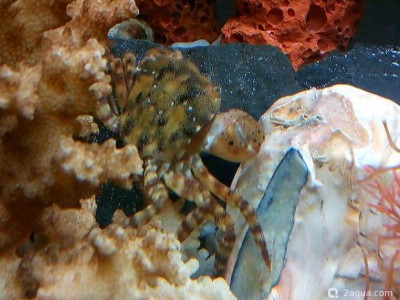 Фото Маленький кусочек моря (photo#156937)