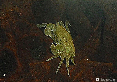 Фото Маленький кусочек моря (photo#156939)