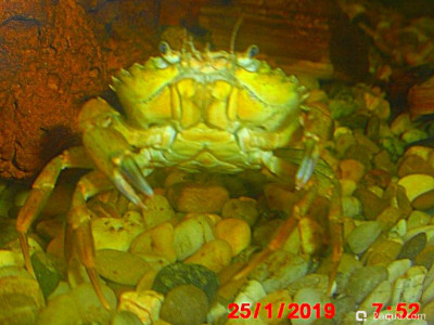 Фото Маленький кусочек моря (photo#156940)