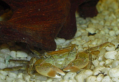 Фото Маленький кусочек моря (photo#156941)