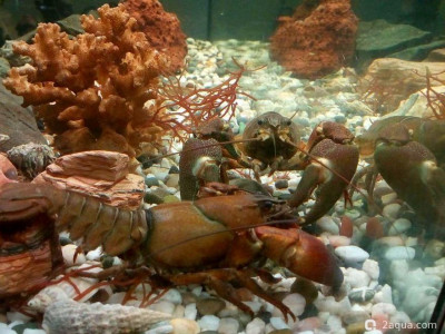 Фото Маленький кусочек моря (photo#156942)