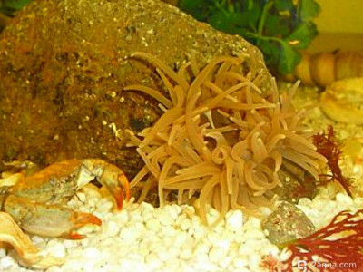 Фото Маленький кусочек моря (photo#156943)