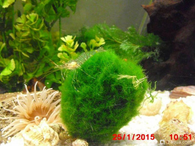 Фото Маленький кусочек моря (photo#156944)