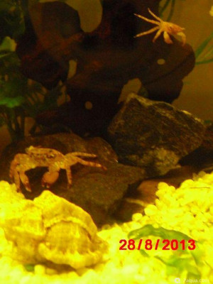 Фото Маленький кусочек моря (photo#156945)