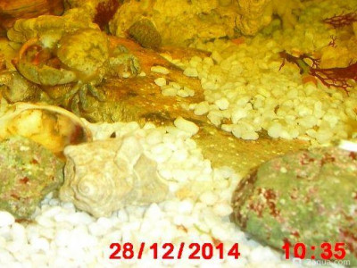 Фото Маленький кусочек моря (photo#156947)