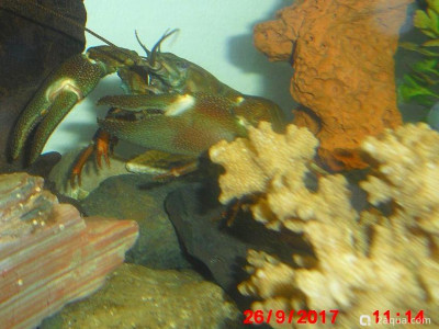 Фото Маленький кусочек моря (photo#156948)