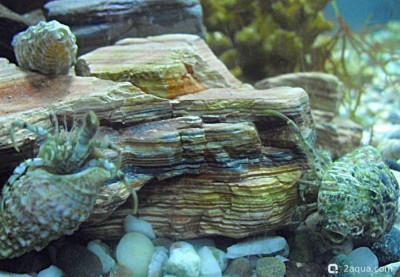 Фото Маленький кусочек моря (photo#156949)