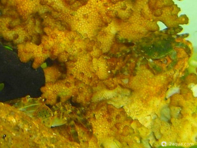 Фото Маленький кусочек моря (photo#156950)