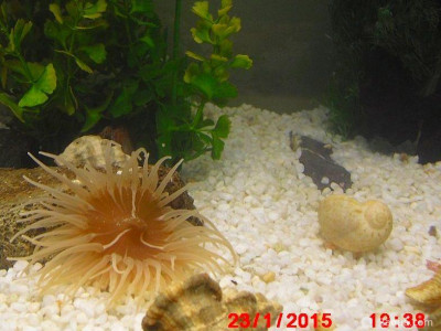 Фото Маленький кусочек моря (photo#156951)