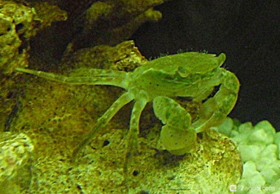 Фото Маленький кусочек моря (photo#156954)