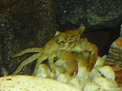 Фото Маленький кусочек моря (photo#156955)