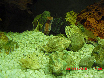 Фото Маленький кусочек моря (photo#156956)