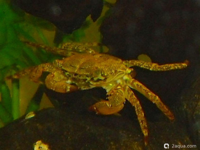 Фото Маленький кусочек моря (photo#156957)