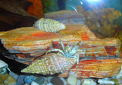 Фото Маленький кусочек моря (photo#156958)