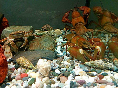 Фото Маленький кусочек моря (photo#156959)