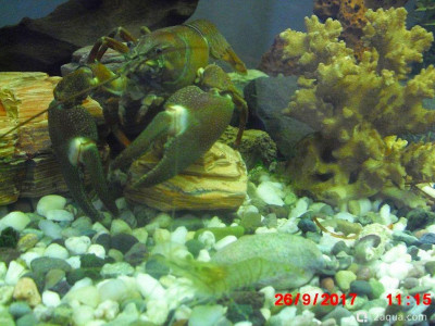 Фото Маленький кусочек моря (photo#156960)