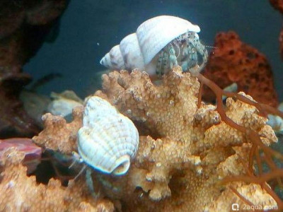 Фото Маленький кусочек моря (photo#156961)