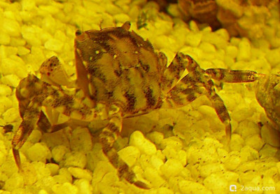 Фото Маленький кусочек моря (photo#156962)