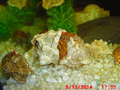 Фото Маленький кусочек моря (photo#156963)