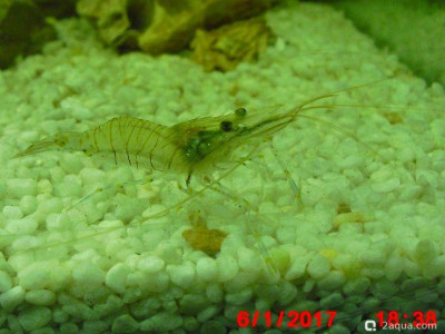 Фото Маленький кусочек моря (photo#156964)