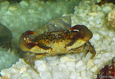 Фото Маленький кусочек моря (photo#156966)