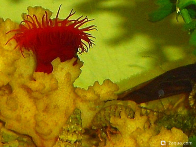 Фото Маленький кусочек моря (photo#156967)