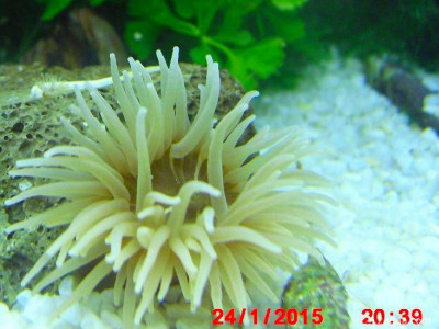 Фото Маленький кусочек моря (photo#156968)