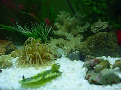 Фото Маленький кусочек моря (photo#156969)