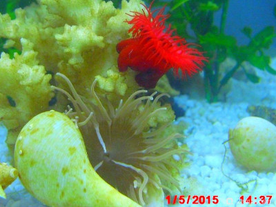 Фото Маленький кусочек моря (photo#156970)