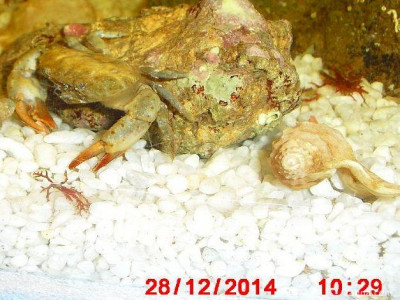 Фото Маленький кусочек моря (photo#156971)