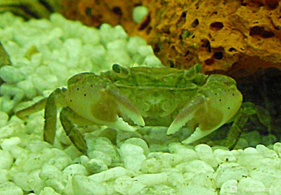 Фото Маленький кусочек моря (photo#156972)