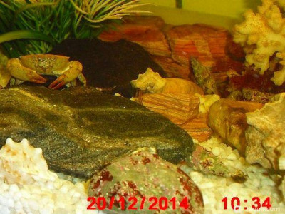 Фото Маленький кусочек моря (photo#156975)