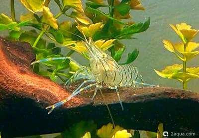 Фото Маленький кусочек моря (photo#156976)