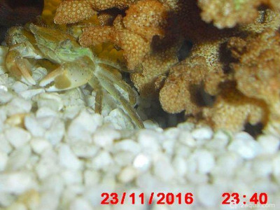 Фото Маленький кусочек моря (photo#156978)