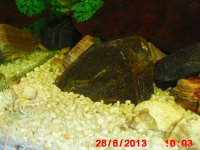 Фото Маленький кусочек моря (photo#156980)