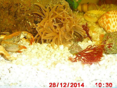 Фото Маленький кусочек моря (photo#156981)