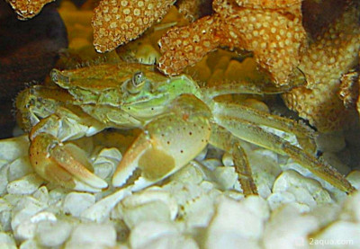 Фото Маленький кусочек моря (photo#156982)